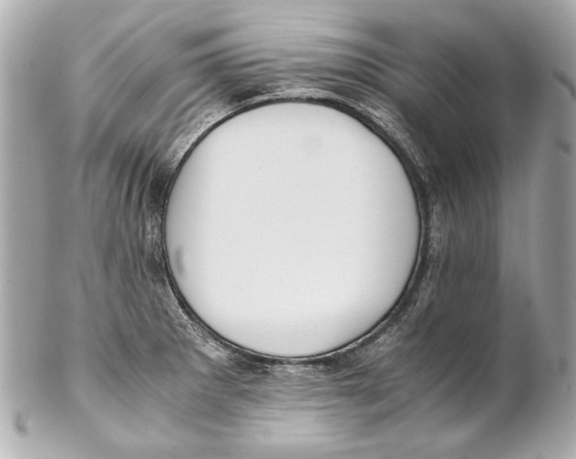 X0000102271281200808151856