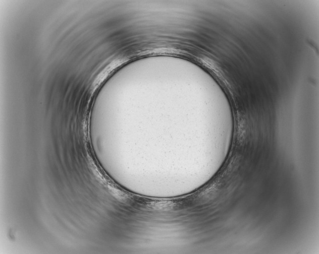 X0000102271282200808151856