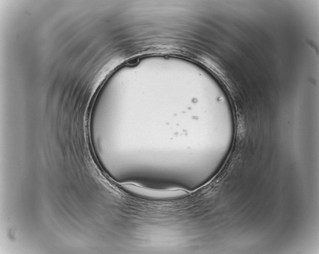 X0000102271283200808151856