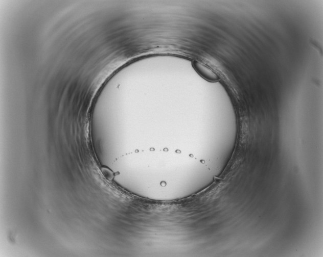 X0000102271284200808151856