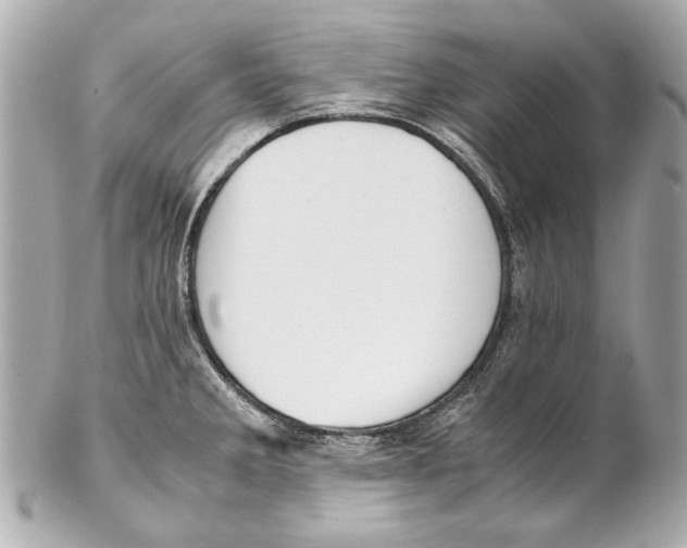 X0000102271285200808151856