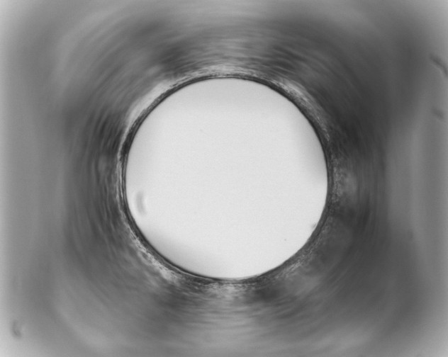 X0000102271286200808151856