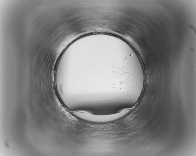 X0000102271287200808151856