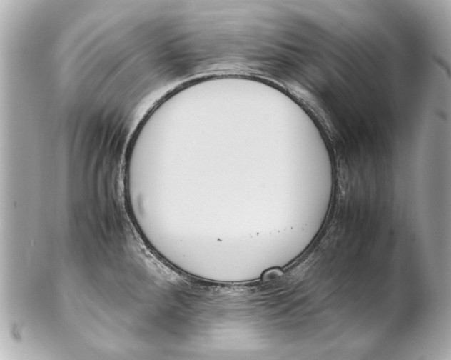 X0000102271288200808151856