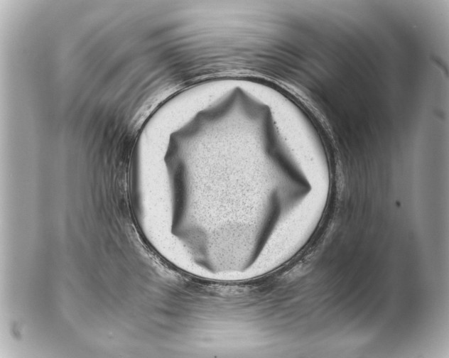 X0000102271289200808151856