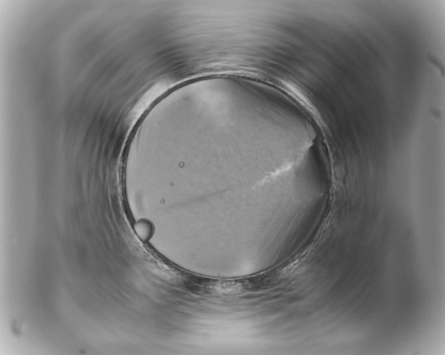 X0000102271291200808151856