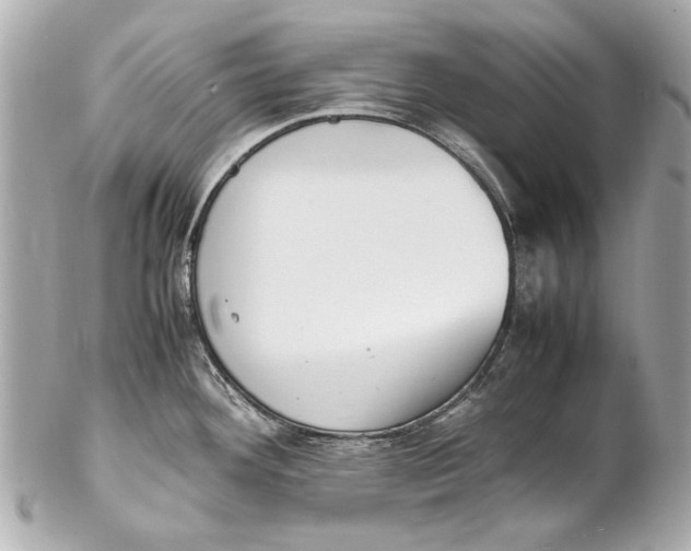 X0000102271292200808151856