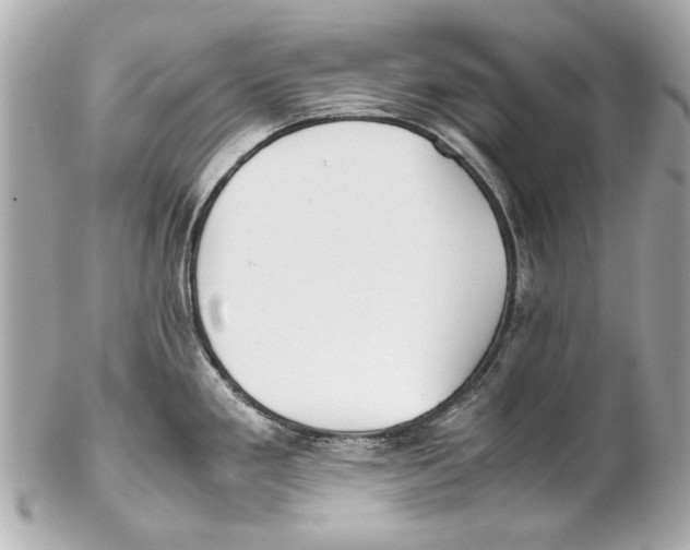 X0000102271293200808151855