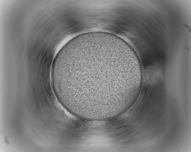 X0000102271294200808151855