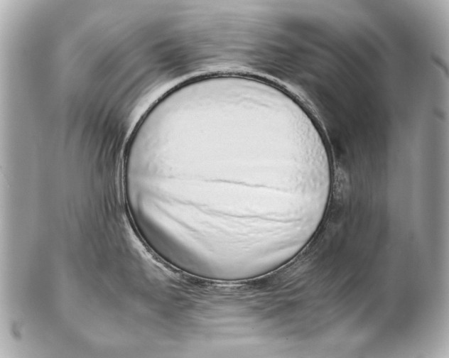 X0000102271295200808151855