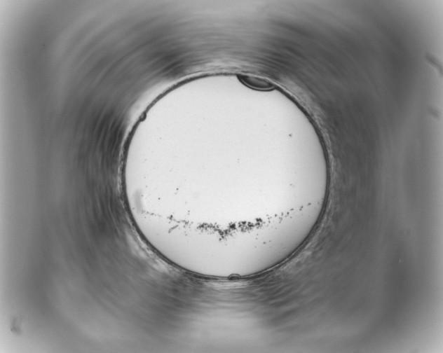 X0000102271296200808151855