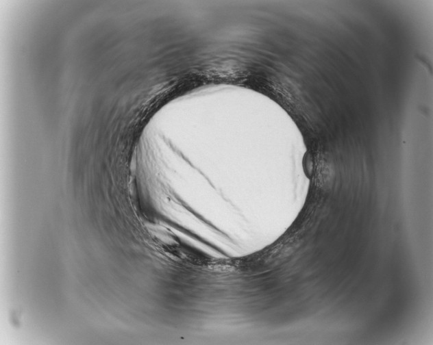 X0000102271297200808151855