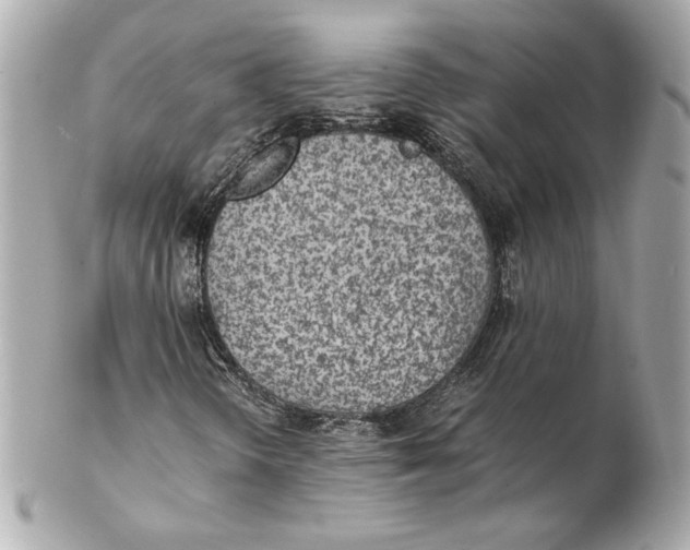 X0000102271298200808151855