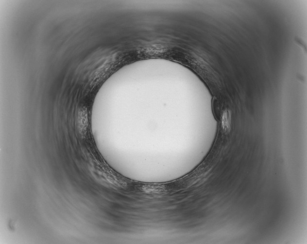 X0000102271299200808151855