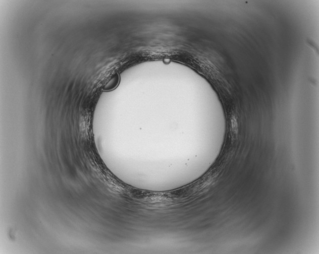 X0000102271300200808151855