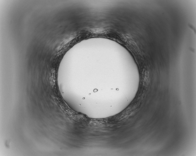 X0000102271301200808151855