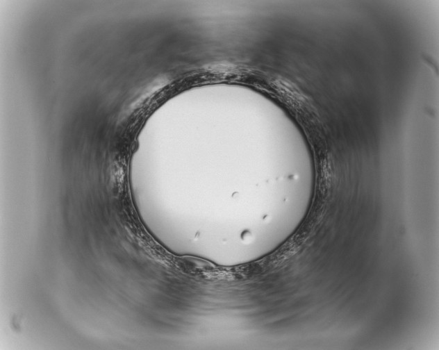 X0000102271302200808151855