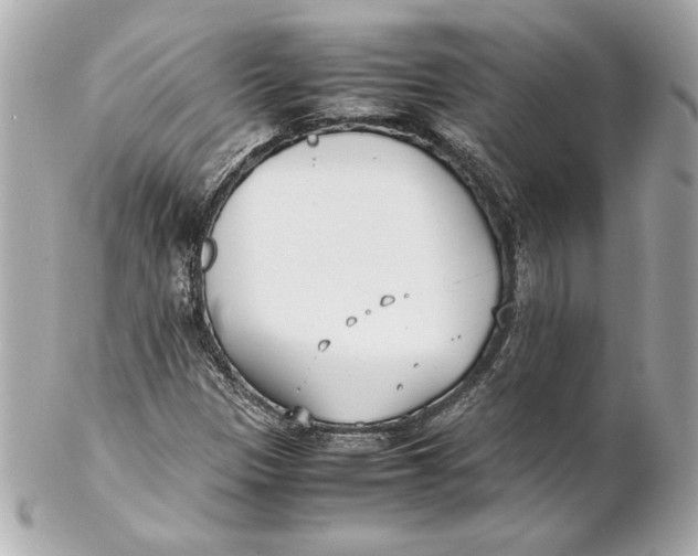 X0000102271305200808151855