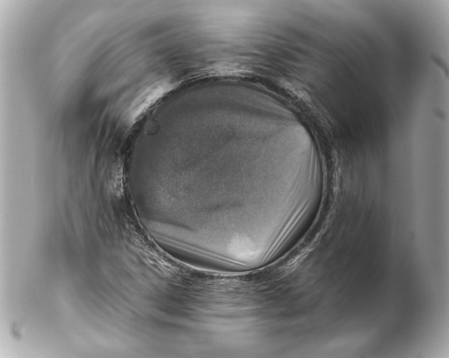 X0000102271306200808151855