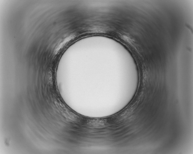 X0000102271307200808151855