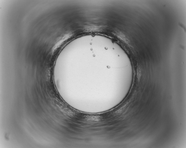 X0000102271309200808151855