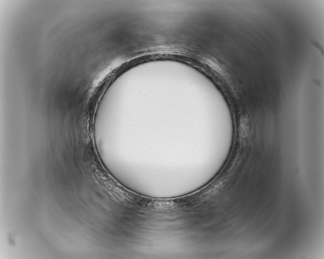 X0000102271310200808151855