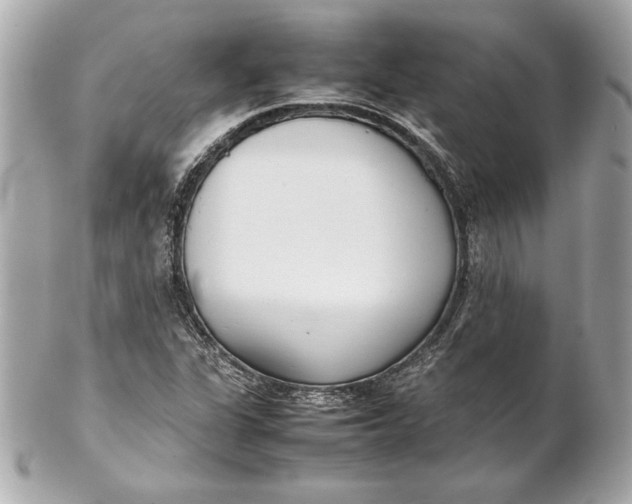 X0000102271311200808151855