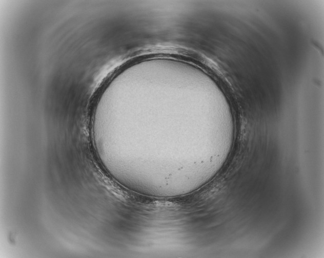 X0000102271312200808151855