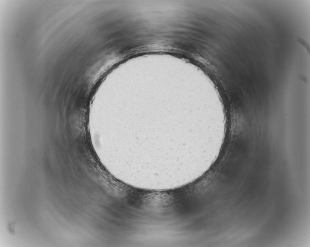 X0000102271314200808151855