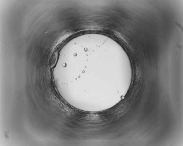 X0000102271315200808151855