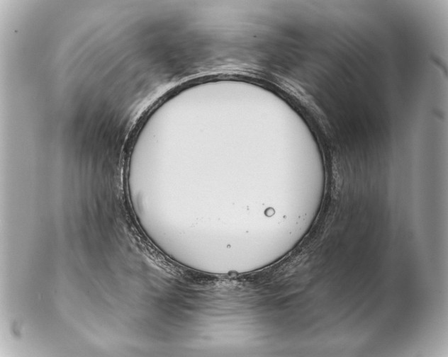 X0000102271316200808151855