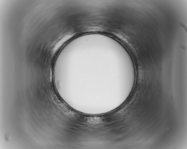 X0000102271317200808151855