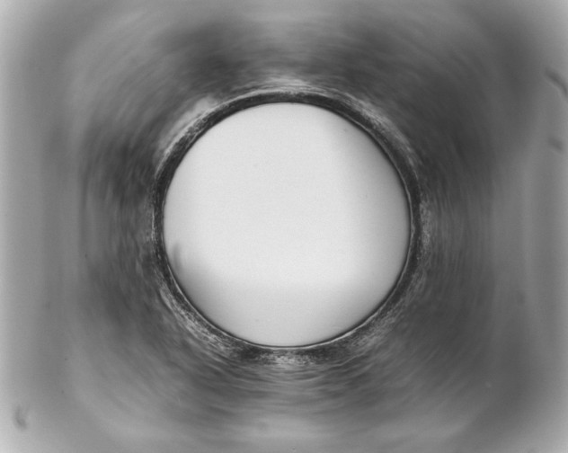 X0000102271318200808151855