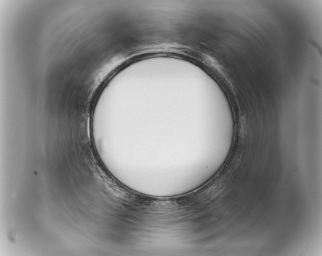 X0000102271320200808151855