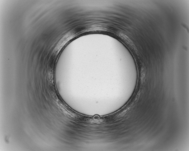 X0000102271321200808151855