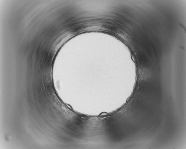 X0000102271322200808151855