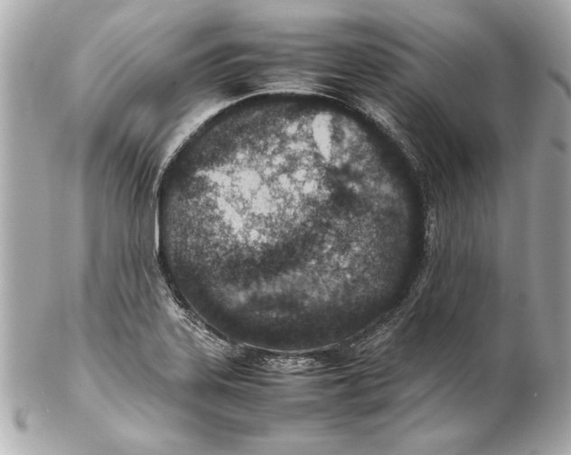 X0000102271323200808151855