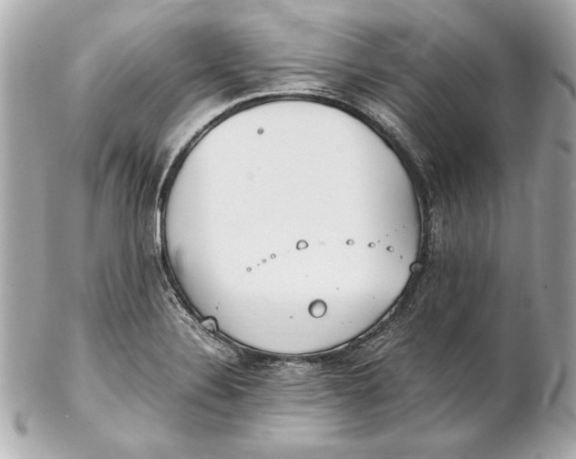 X0000102271324200808151855