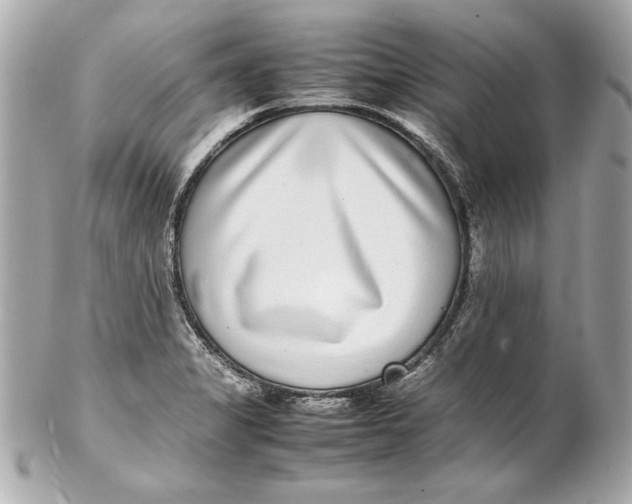 X0000102271325200808151855