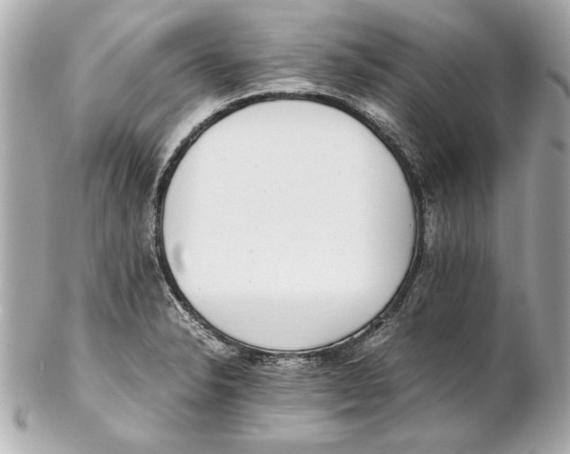 X0000102271326200808151855