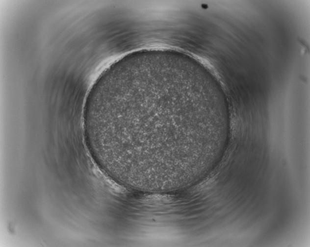 X0000102271327200808151855