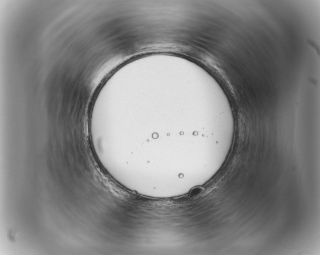 X0000102271328200808151855