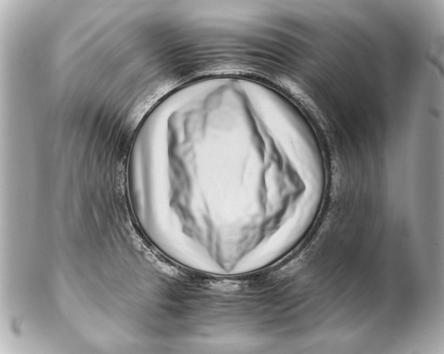 X0000102271329200808151855