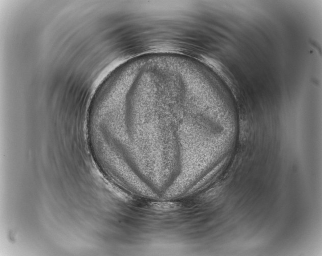 X0000102271331200808151855