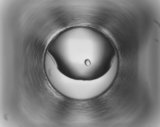 X0000102271332200808151855