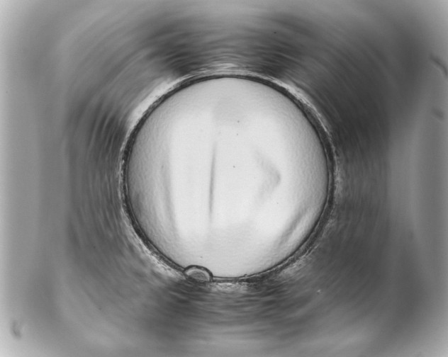 X0000102271333200808151855