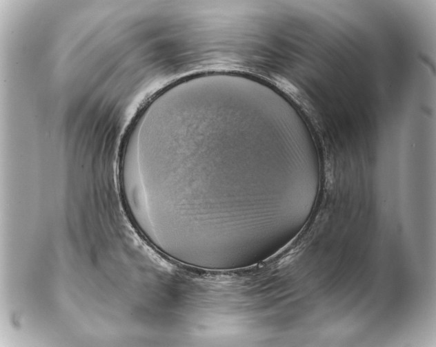 X0000102271334200808151855