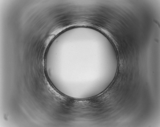 X0000102271335200808151855