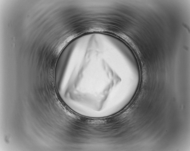 X0000102271337200808151855