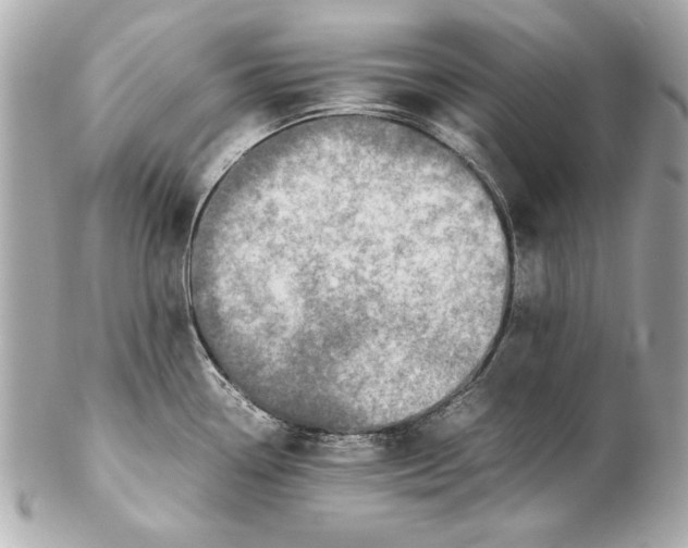 X0000102271338200808151855